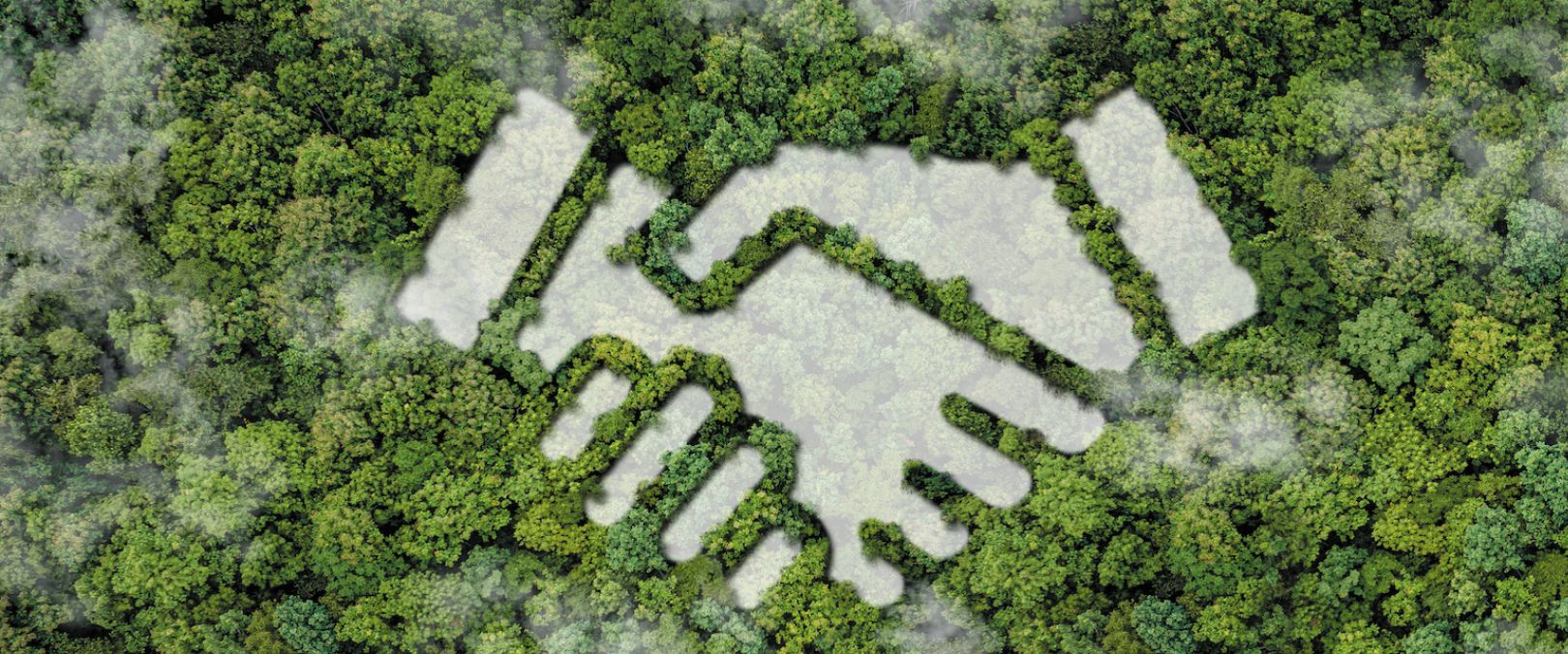 Altered overhead photograph of a forest, that looks like a clearing in the shape of two hands shaking.