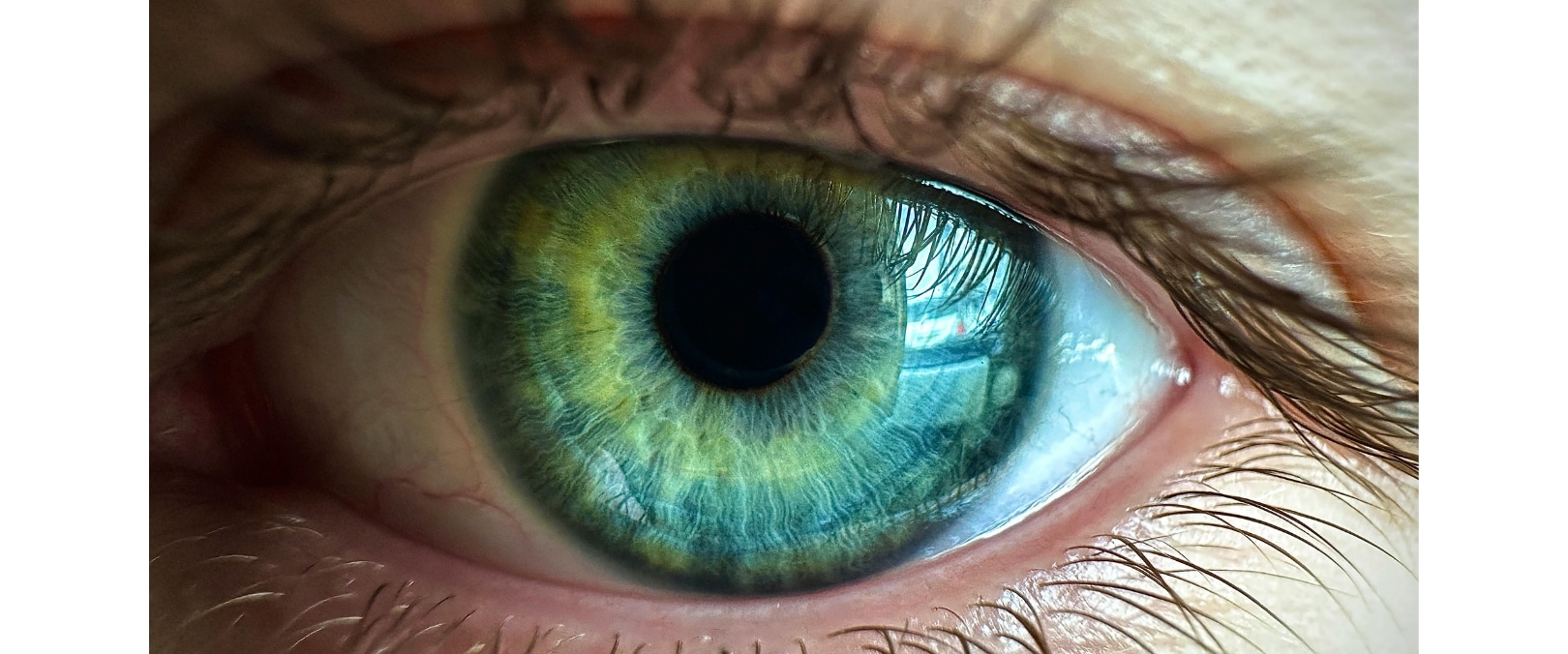close up of an eye