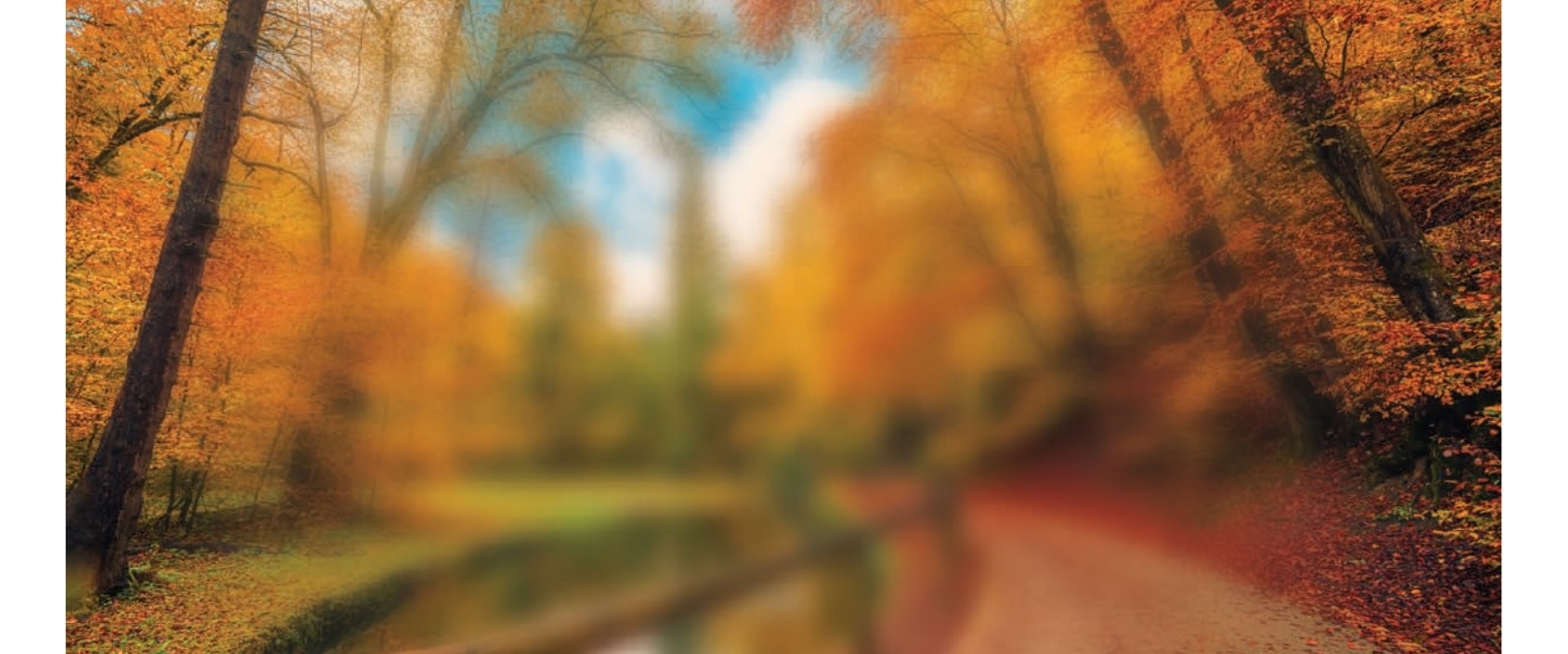 Beyond 20 20 Vision Krista Woods article